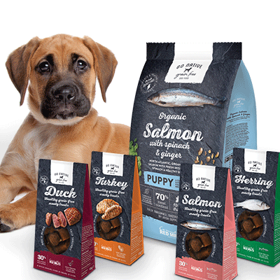 Dry puppy food
